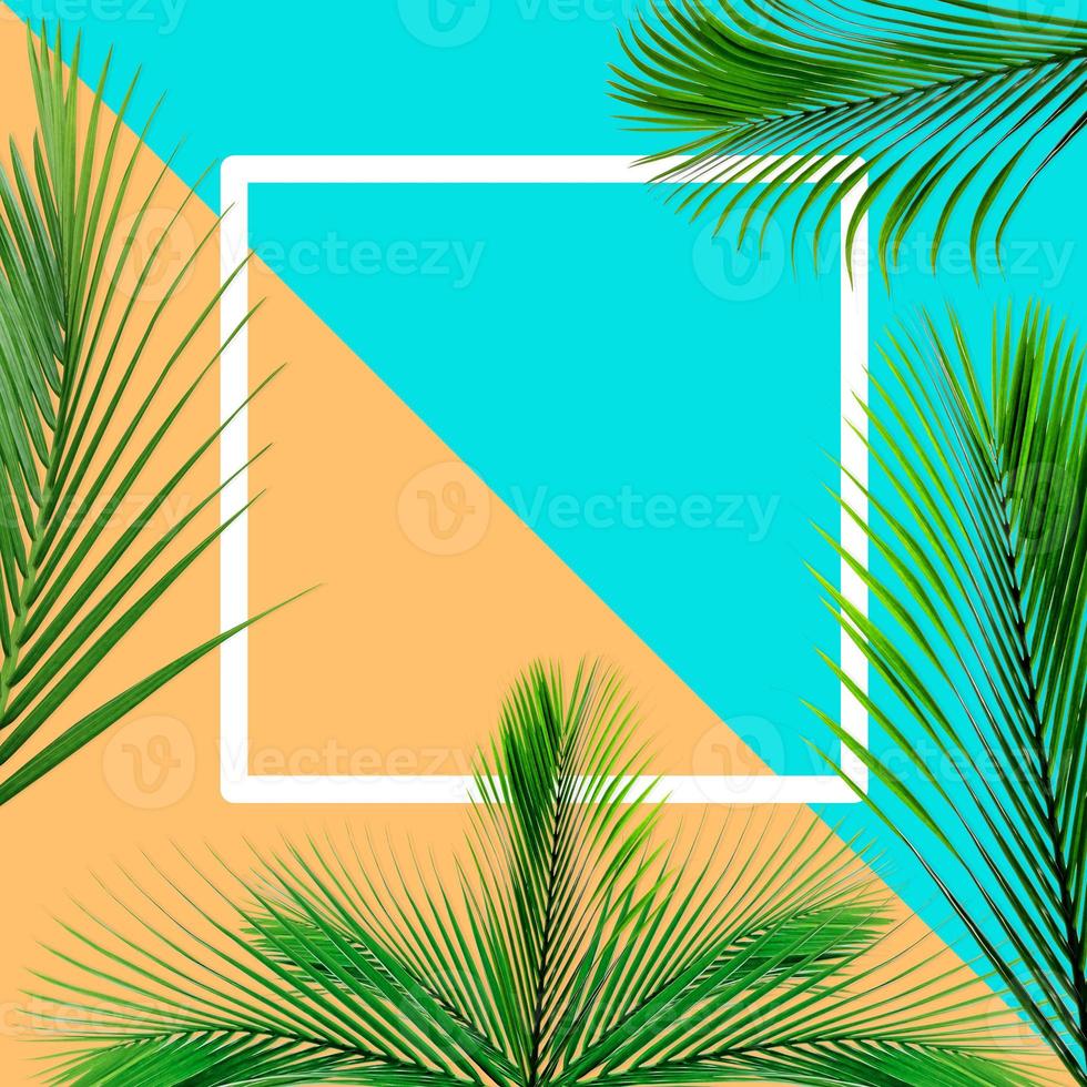 Green palm leaves pattern for nature concept,tropical leaf on orange and teal paper background photo