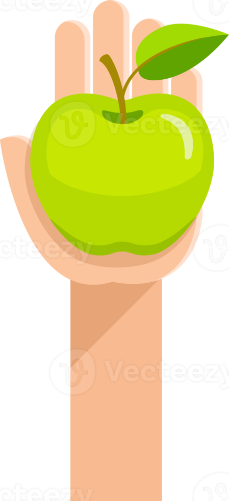 Green apple on hand png