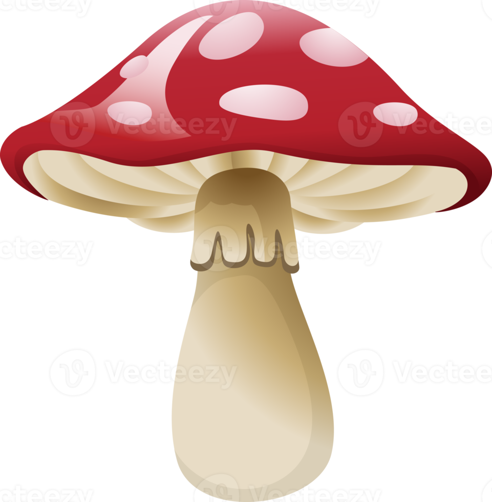 illustration de champignon rouge png