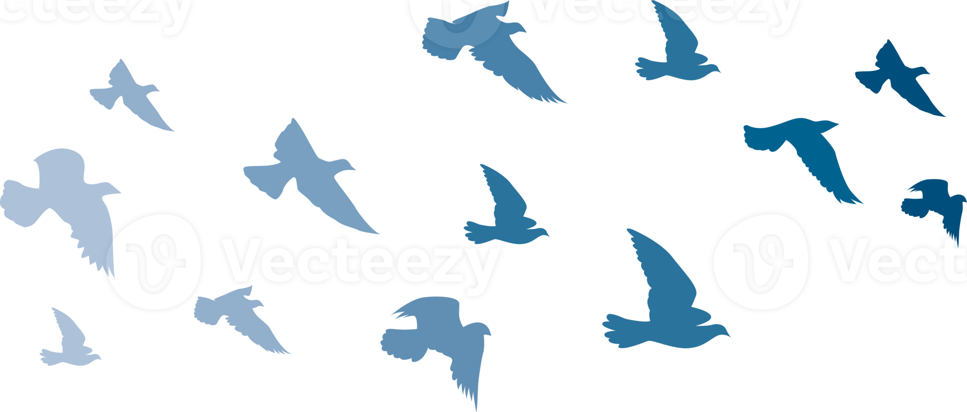 fliegende Vögel Silhouetten Mustertapete. png transparent. isolierter vogel fliegt. Tattoo-Design. vorlage für karte, paket und tapete.