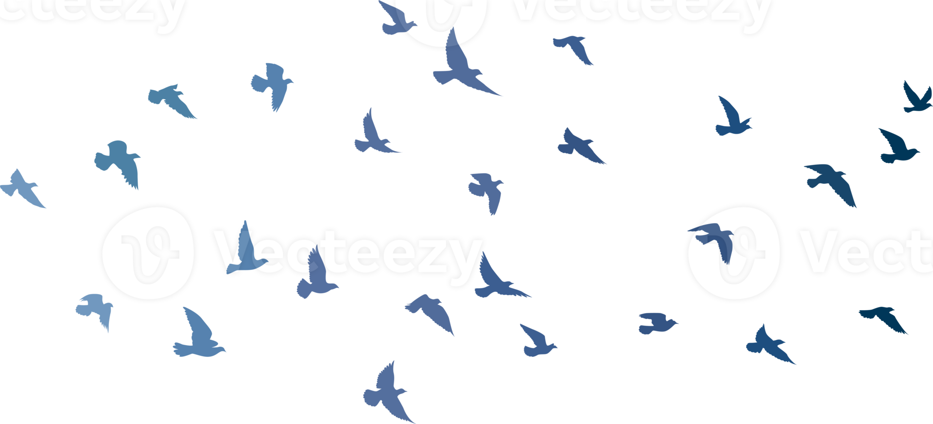 fliegende Vögel Silhouetten Mustertapete. png transparent. isolierter vogel fliegt. Tattoo-Design. vorlage für karte, paket und tapete.