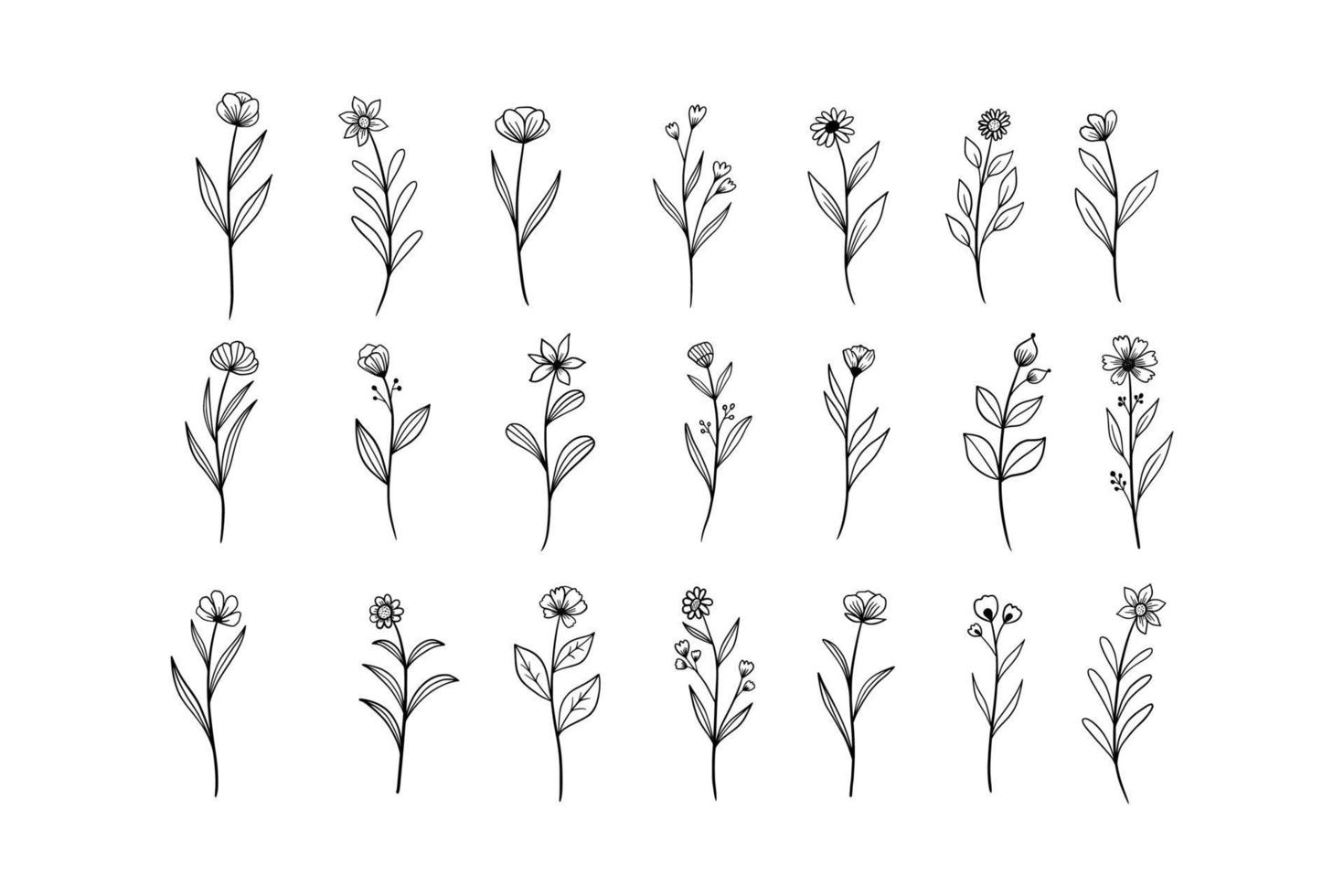 Hand Drawn Wildflower Line Art Illustrations. Botanical and Natural Designs for Invitations, Posters, and Digital Art vector