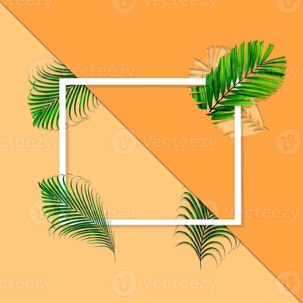 Green palm leaves pattern for nature concept,tropical leaf on orange paper background photo