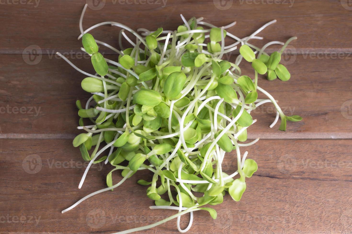 Sunflower sprout microgreen healthy food on wood background. photo
