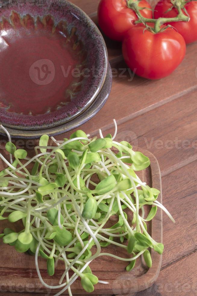 Sunflower sprout microgreen healthy food on wood background. photo