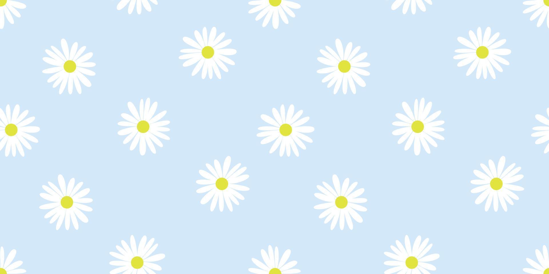 Daisy flower seamless pattern on blue background, vector illustration
