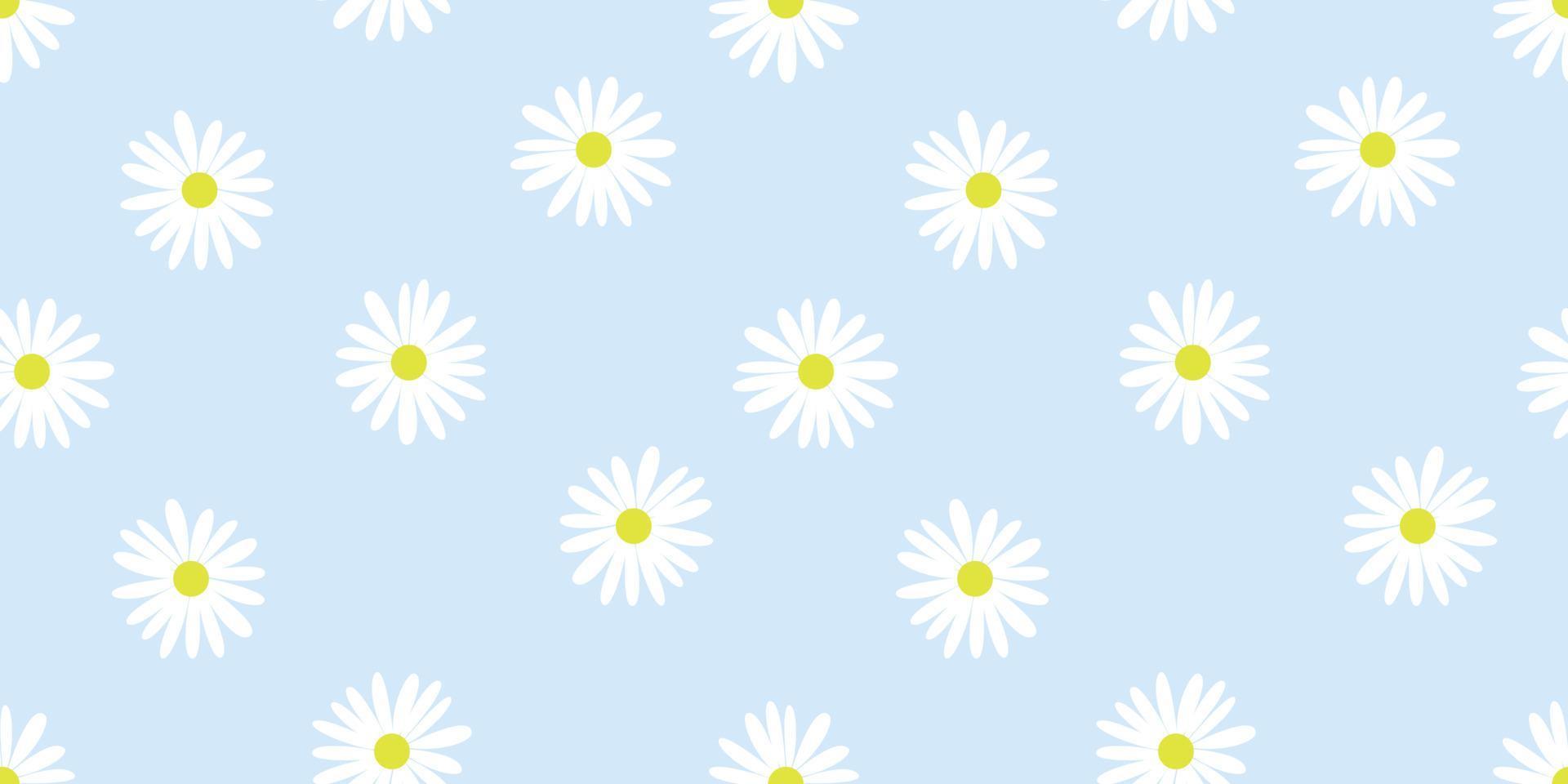 Daisy flower seamless pattern on blue background, vector illustration