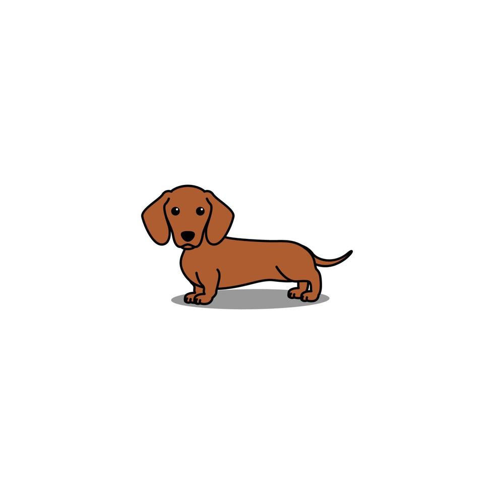 Cute dachshund dog red color cartoon, vector illustration