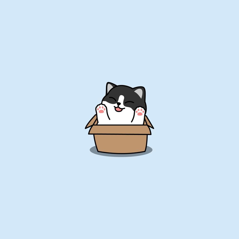 Funny black and white cat in the box cartoon, vector illustration