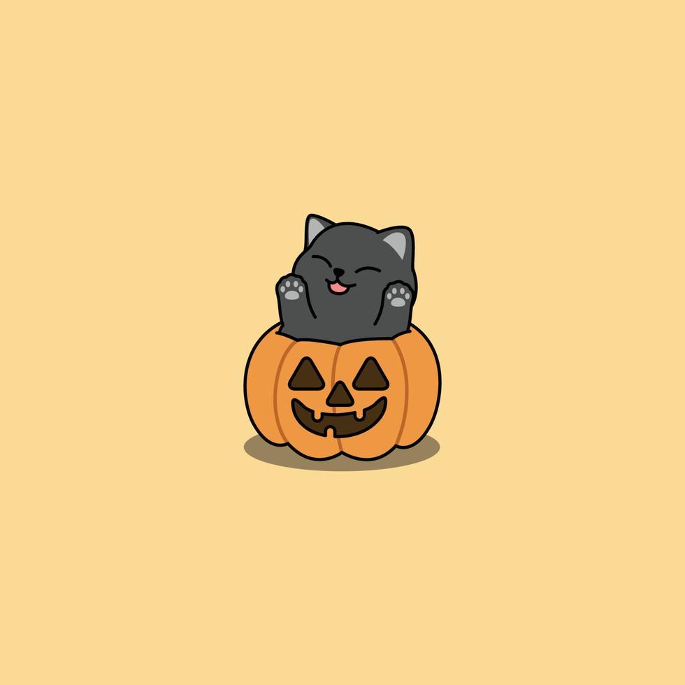 Happy black cat in halloween pumpkin cartoon, vector illustration