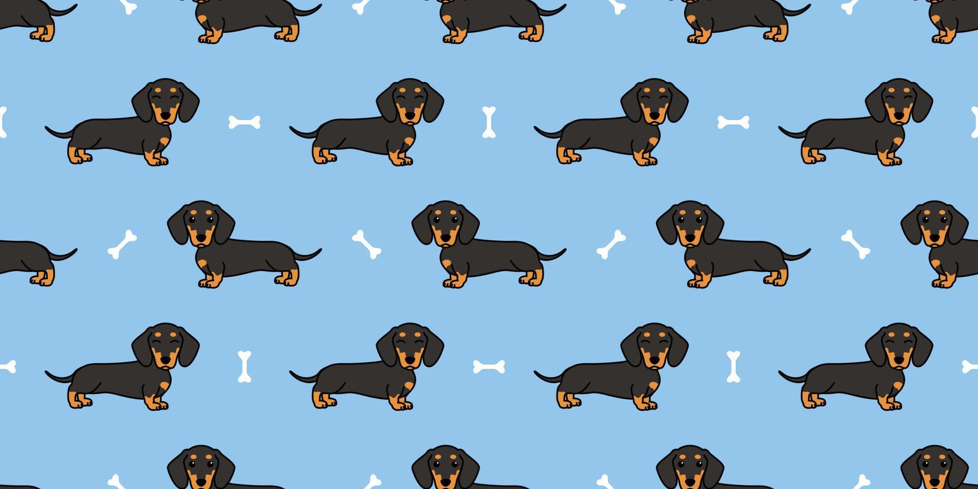lindo perro dachshund dibujos animados patrón sin costuras, ilustración vectorial vector