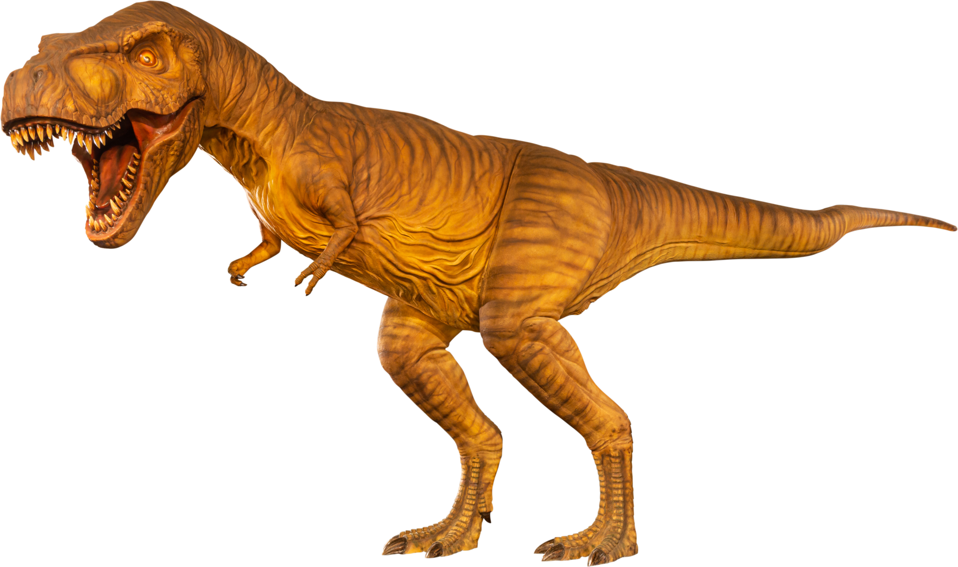 Dinossauro rex desenho png