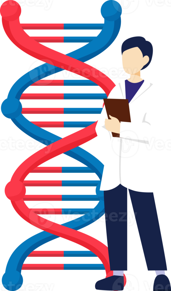 dna e scienziato . genomico concetto . png