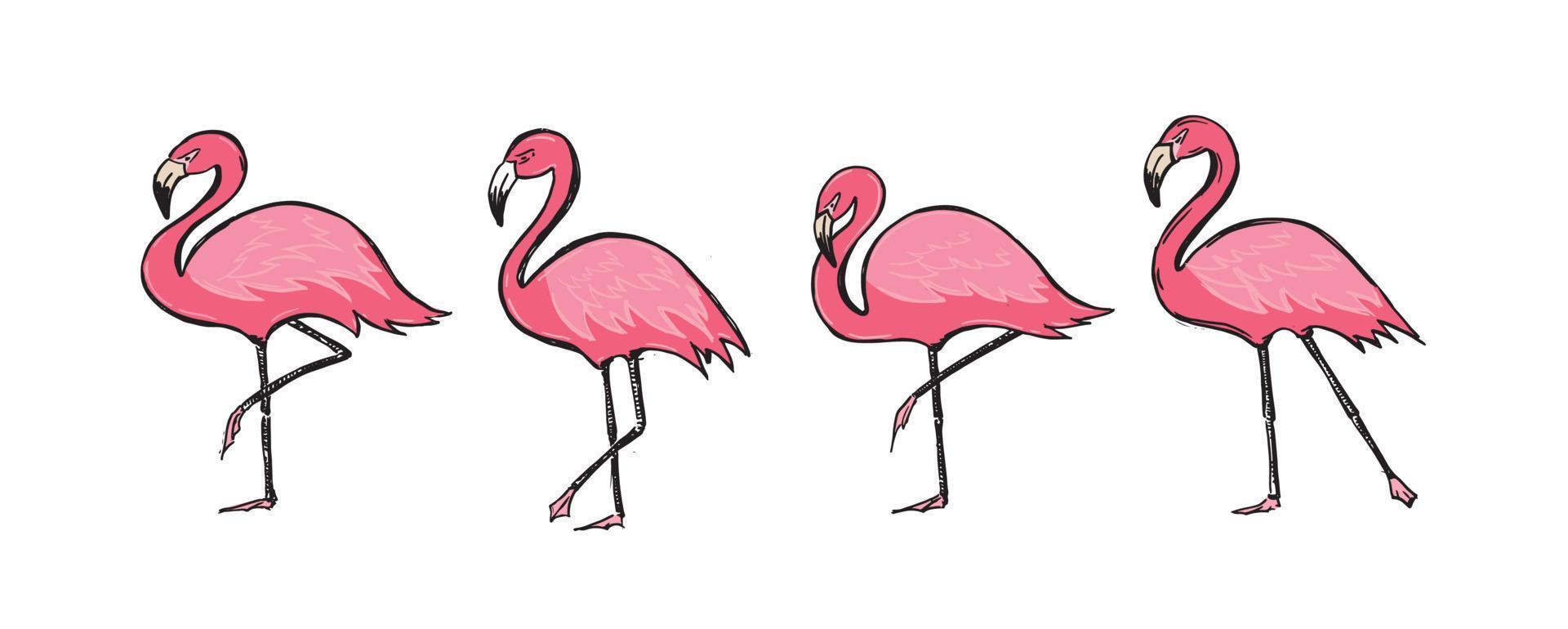 Pink flamingos, hand drawn style, vector illustrations.
