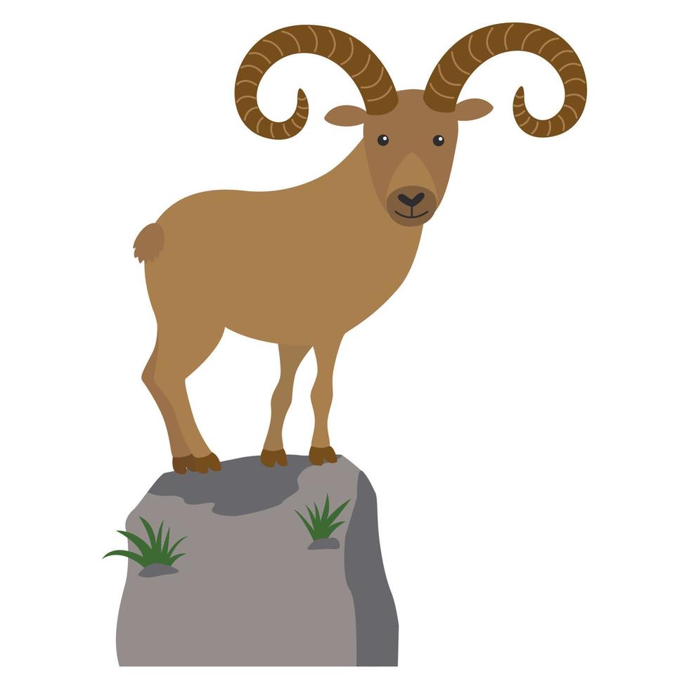 mountain goat illustration vector