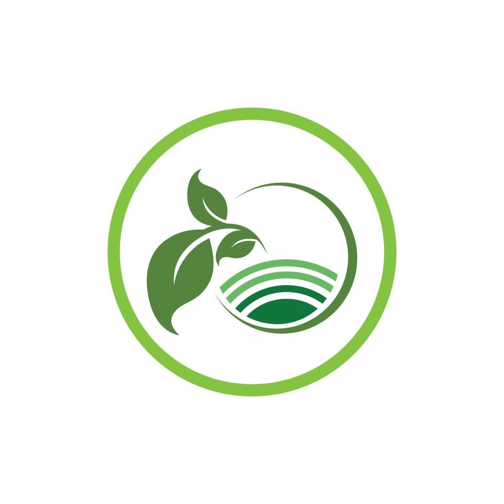 logotipo y símbolo de la planta natural vector