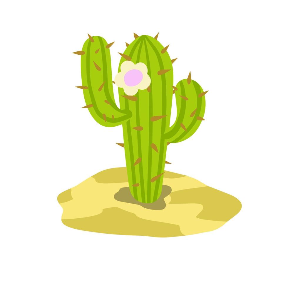 Cactus in the desert. Big Mexican plant. Green succulent. Element of southern tropical summer landscape. Flat cartoon illustration vector
