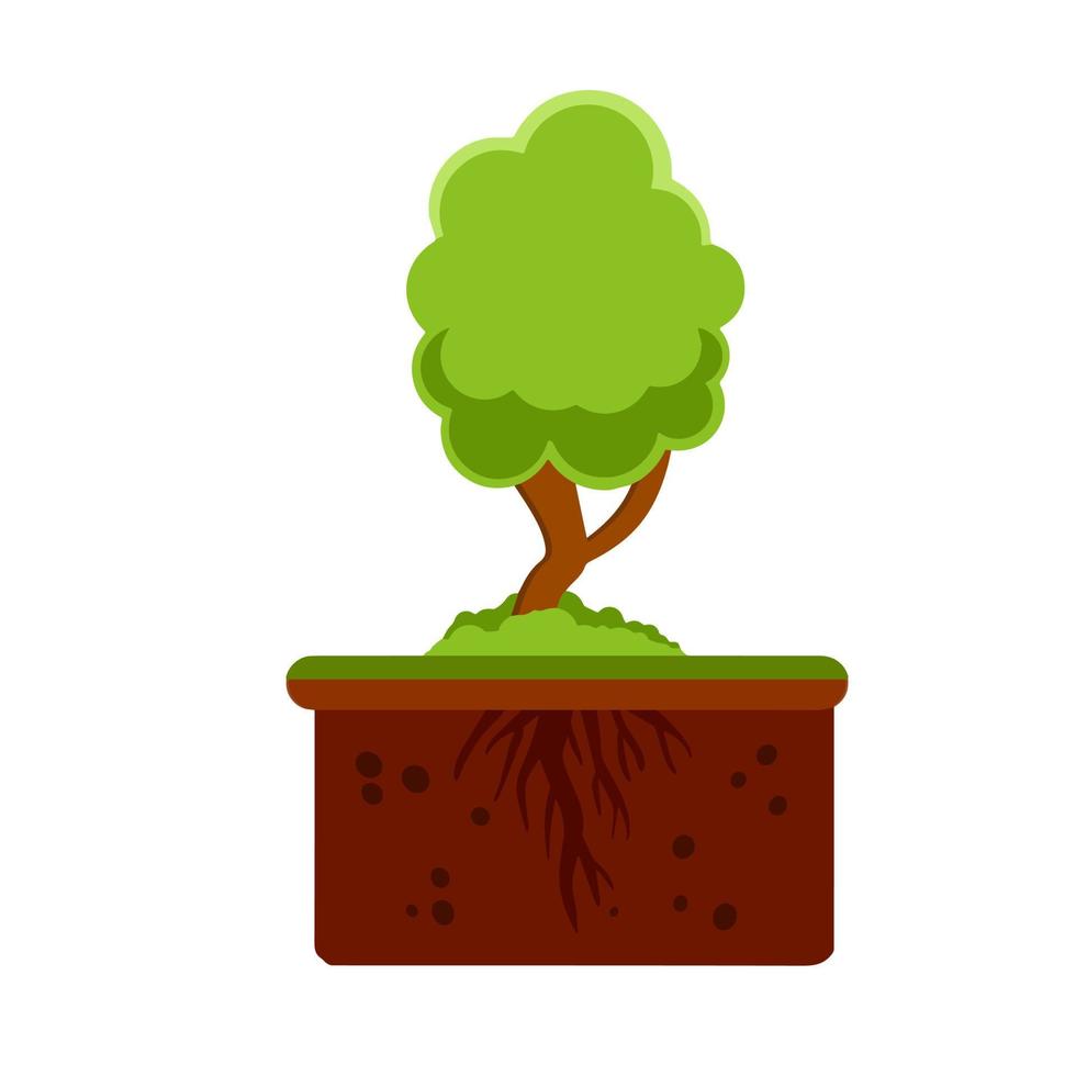 Root system of tree. Nature and forest. Layer of earth and soil. Plant growth. Summer season. Botany and forestry. Brown ground. Flat cartoon illustration vector