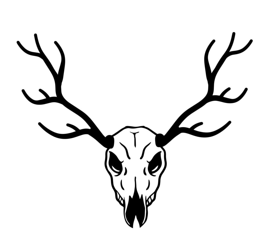 Skull of deer. Hunting trophy with horns. Antler of stag or reindeer. Scary black and white drawing for Halloween. Cartoon illustration isolated on white vector