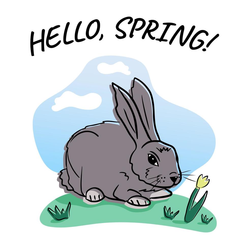 Sweet and cozy grey rabbit sitting on the grass with tulip and lettering hello spring. Vector isolated illustration, cartoon flat character. Template for greeting card, crafting. Children print design