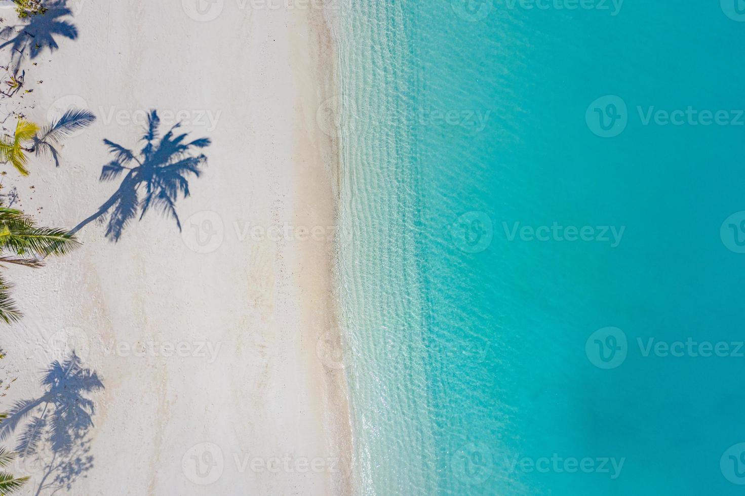 Aerial beach landscape. Minimalist beach view from drone or airplane, palm shadows in white sand near blue sea with beautiful ripples and waves. Perfect summer beach landscape banner. Exotic blue sea photo