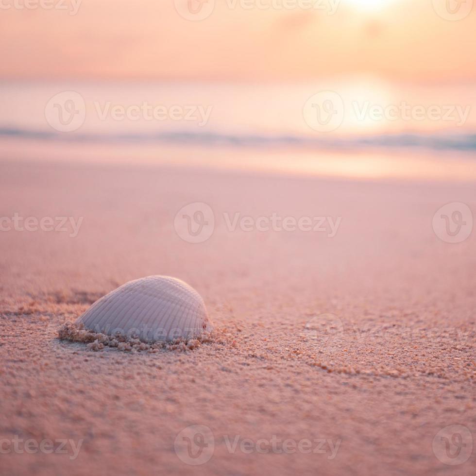 Artistic beach view, white shell with blurred sea and peaceful nature. Amazing relaxing nature landscape, serene summer coast. Bright beach scenery, wonderful summer mood photo