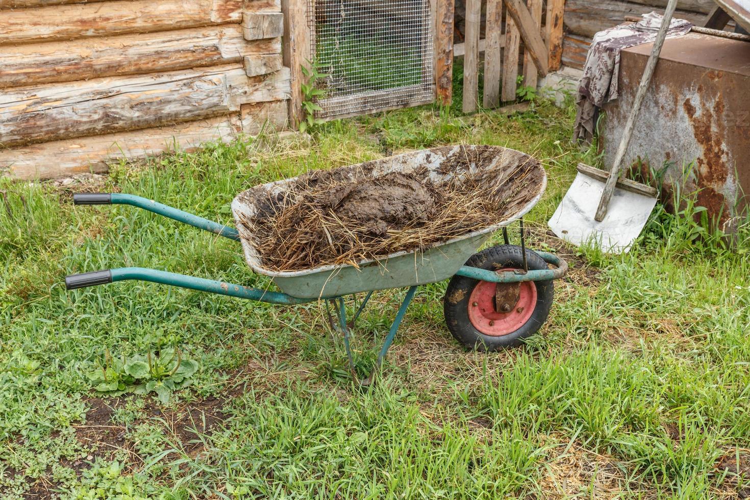 cart with natural cow manure stands in the garden. photo