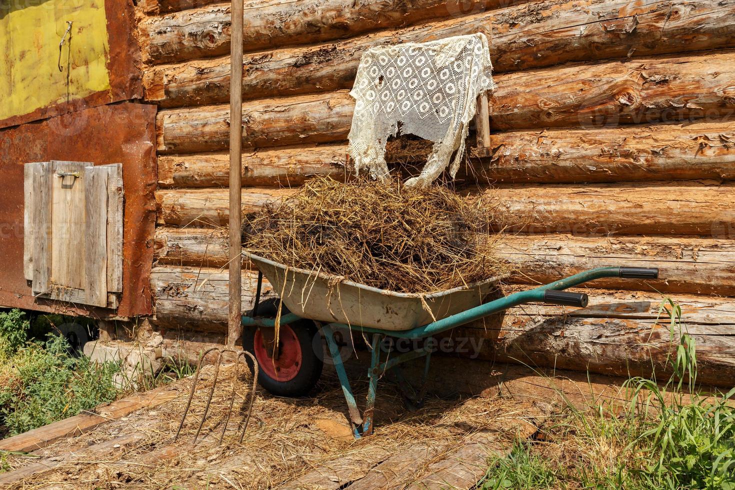 A garden cart filled with cow dung stands against the wall of the barn. photo