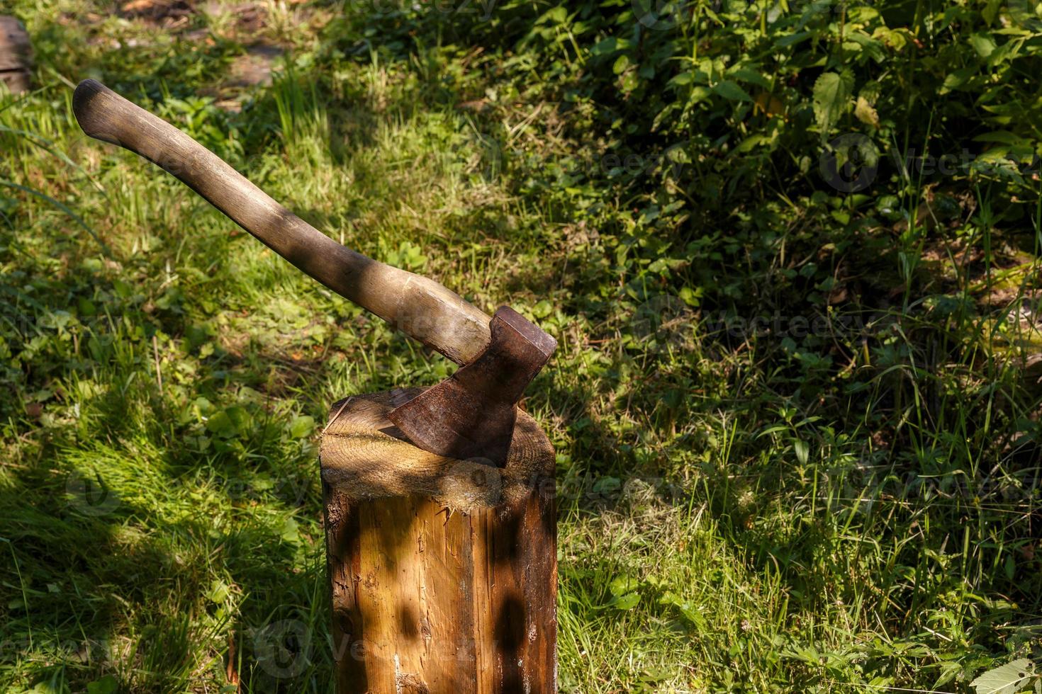 Ax stuck in the stump. Ax with a wooden handle in a stump in the forest. photo