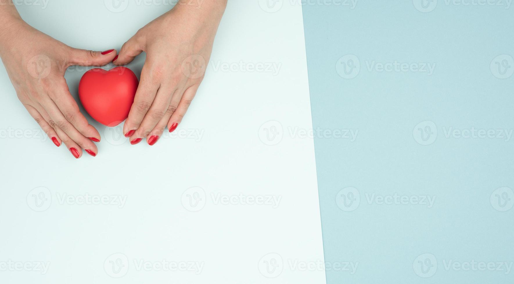 emale hands holds red heart, blue background. Love and donation concept, copy space photo