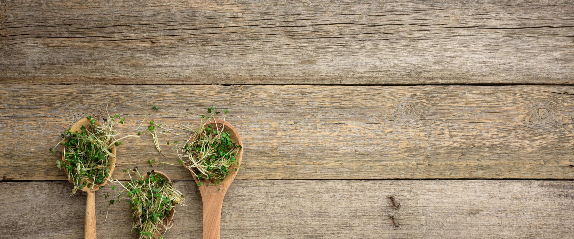 green sprouts of chia, arugula and mustard in a wooden spoon on a gray background from old gray boards photo