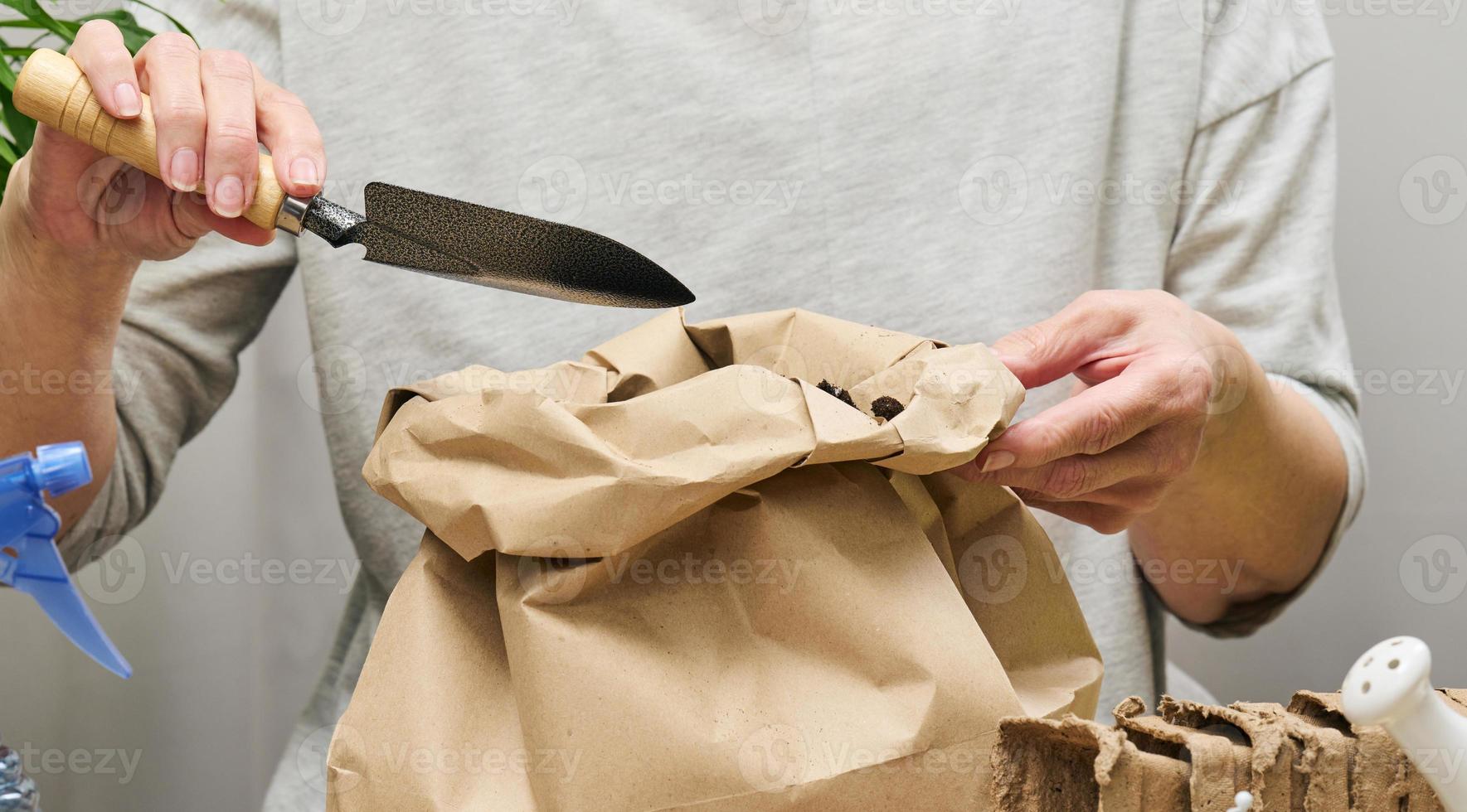 una mujer vestida de gris sostiene una bolsa de tierra para plantar semillas en vasos de papel. pasatiempo y ocio foto