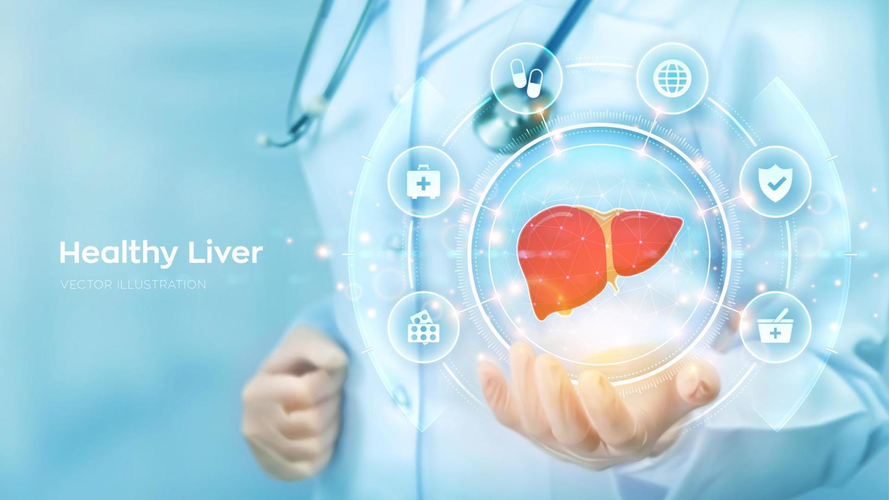 Healthy Liver. Cirrhosis and hepatitis treatment medical concept. Doctor holding in hand the hologram of Human liver and medicine icons network connection on virtual screen. Vector illustration.