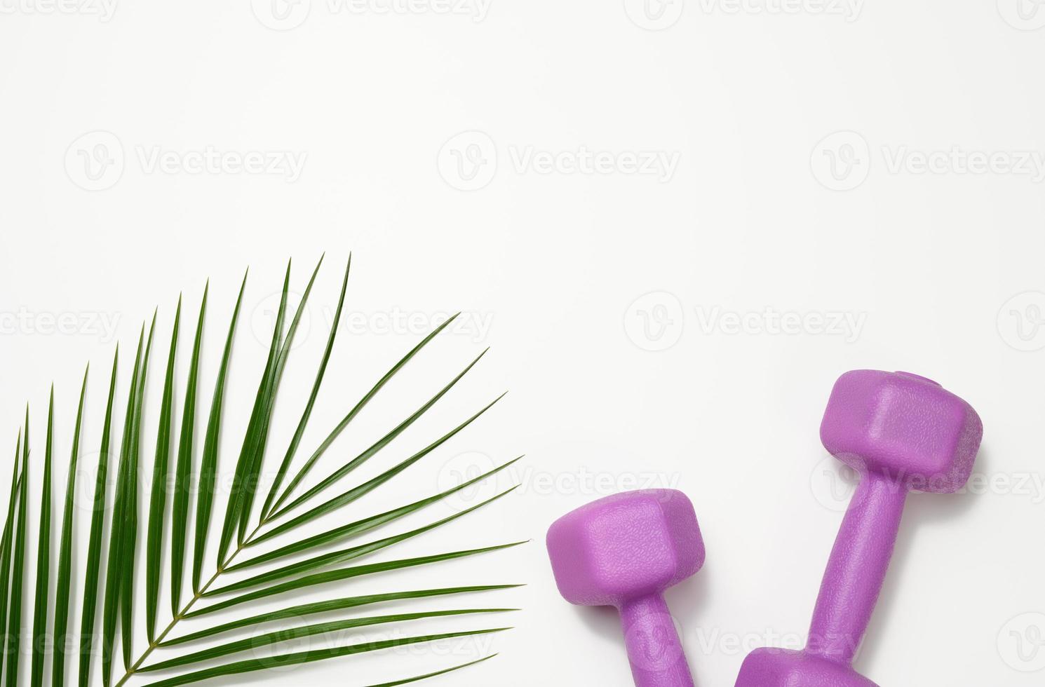 two purple plastic kilogram dumbbells on a white background, top view. Sports equipment photo