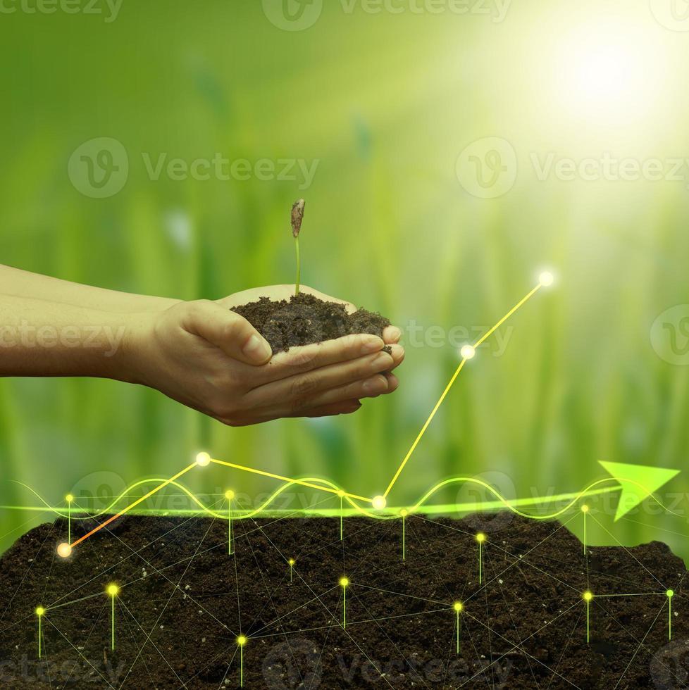 a female hand holds a handful of earth with a young green seedling of a plant against the background of a holographic graph with growing indicators. The concept of high profitability, business growth photo