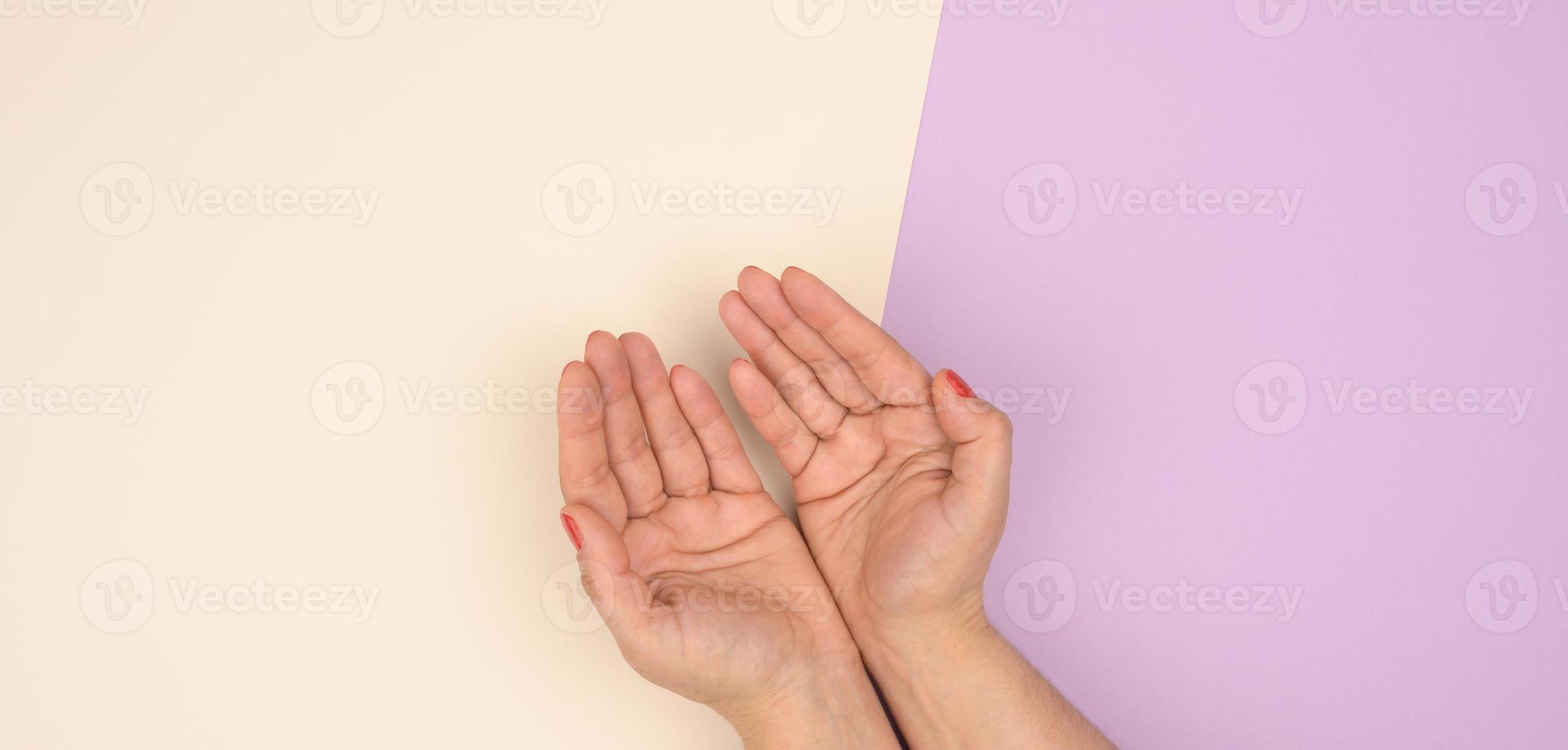 two female hands folded palm to palm on a beige  purple background photo