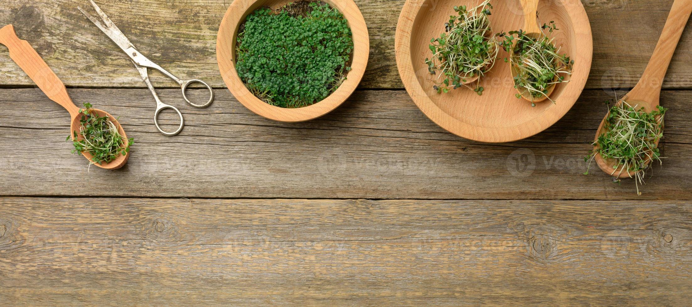 green sprouts of chia, arugula and mustard in a wooden spoon on a background from old gray boards, top view photo