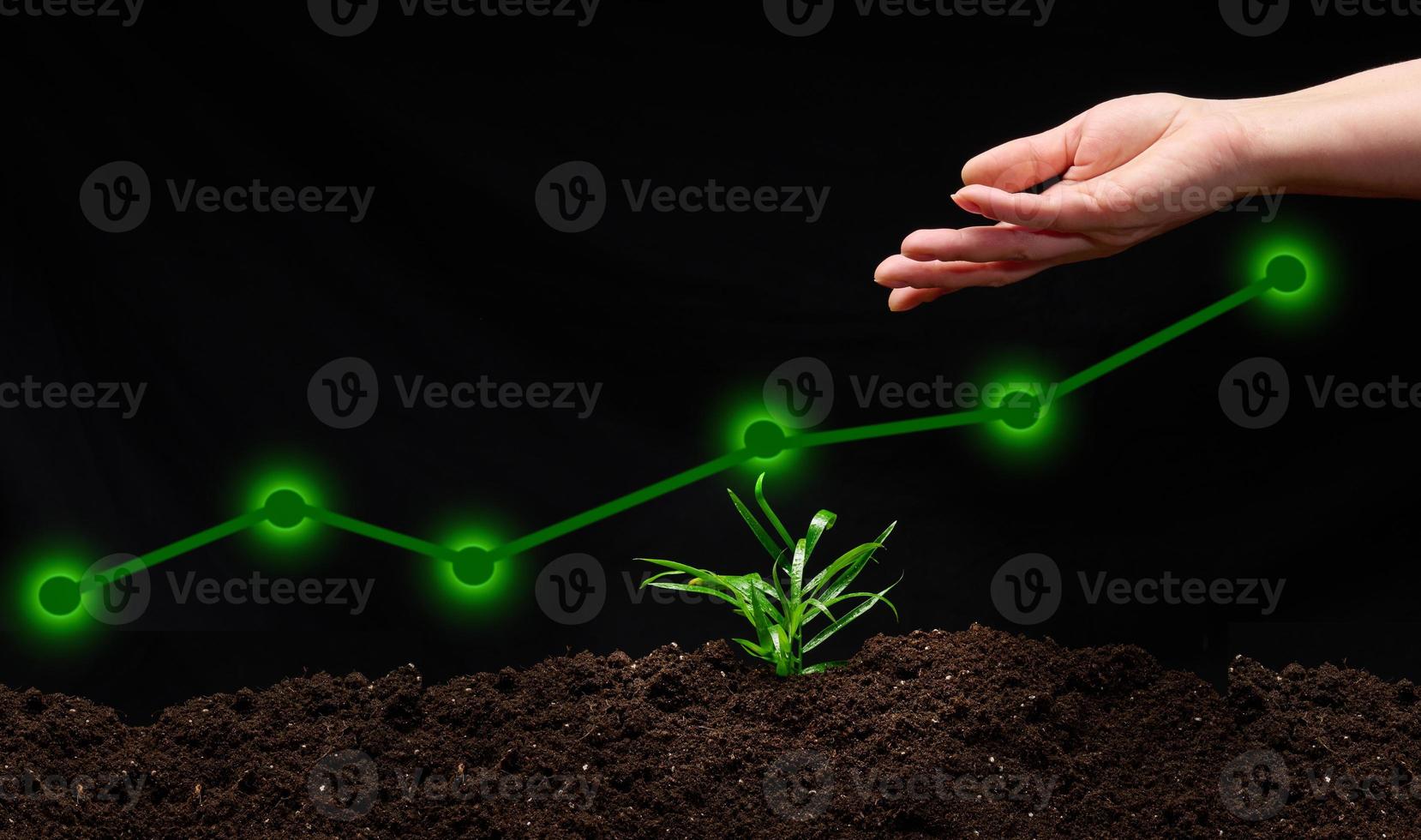 green sprout on the ground, a bottom-up graph and a woman's hand. Business growth concept, goal achievement and success photo