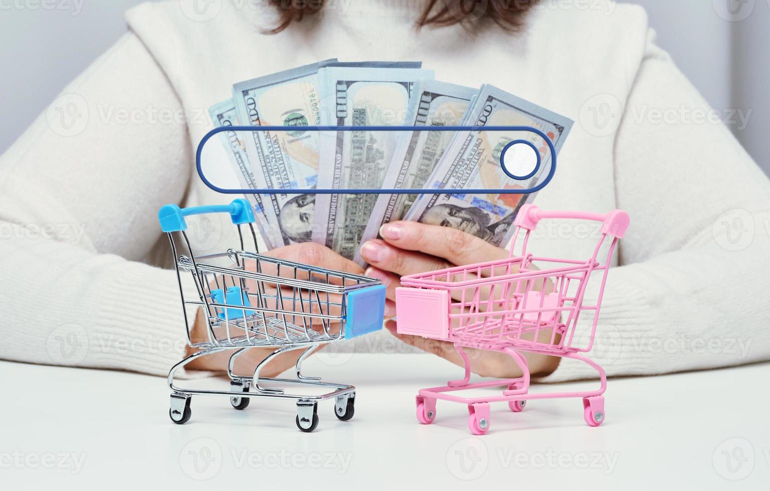 una mujer sostiene dólares de papel americano en sus manos y dos carritos de compras en miniatura sobre la mesa. el concepto de inicio de ventas en tiendas en línea, la búsqueda de una oferta rentable foto