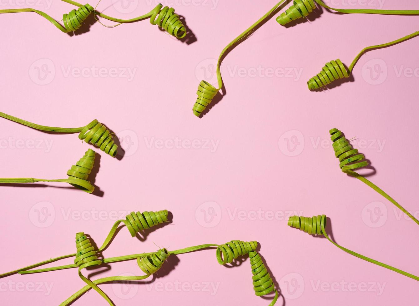 green wooden spirals on pink background, abstract background, top view photo