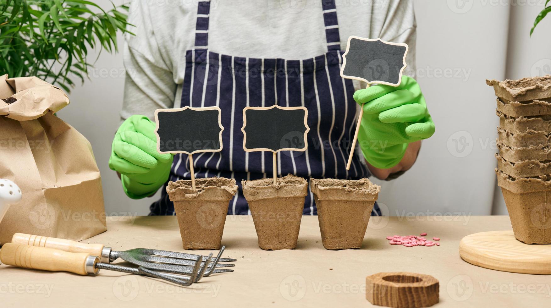 Woman at home is planting plants in a paper cup. Growing vegetables at home photo