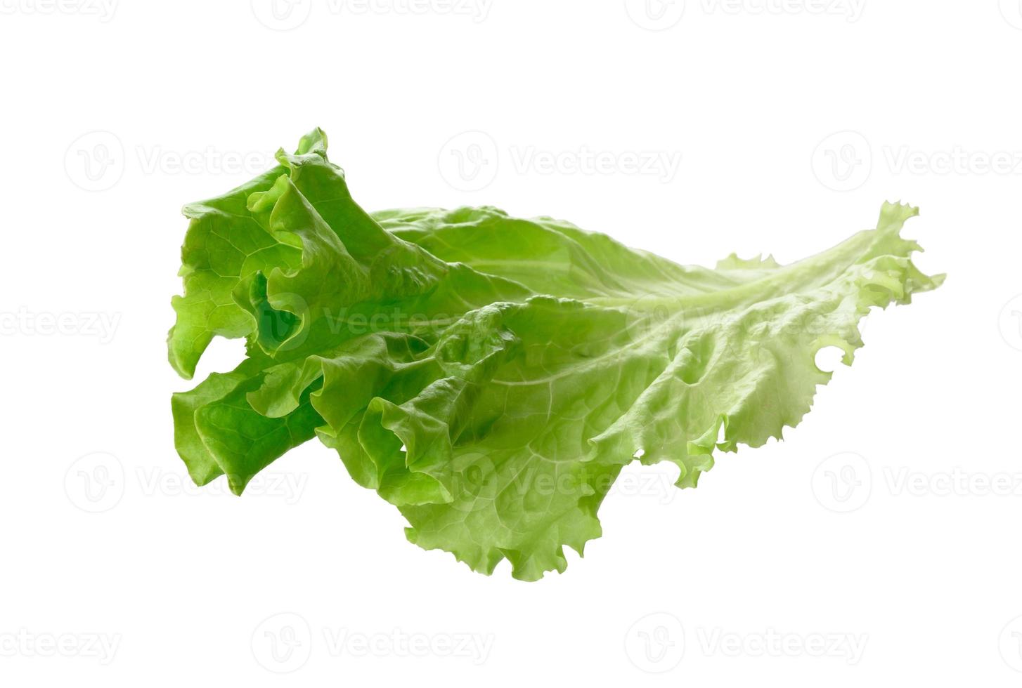 green lettuce leaf isolated on white background photo