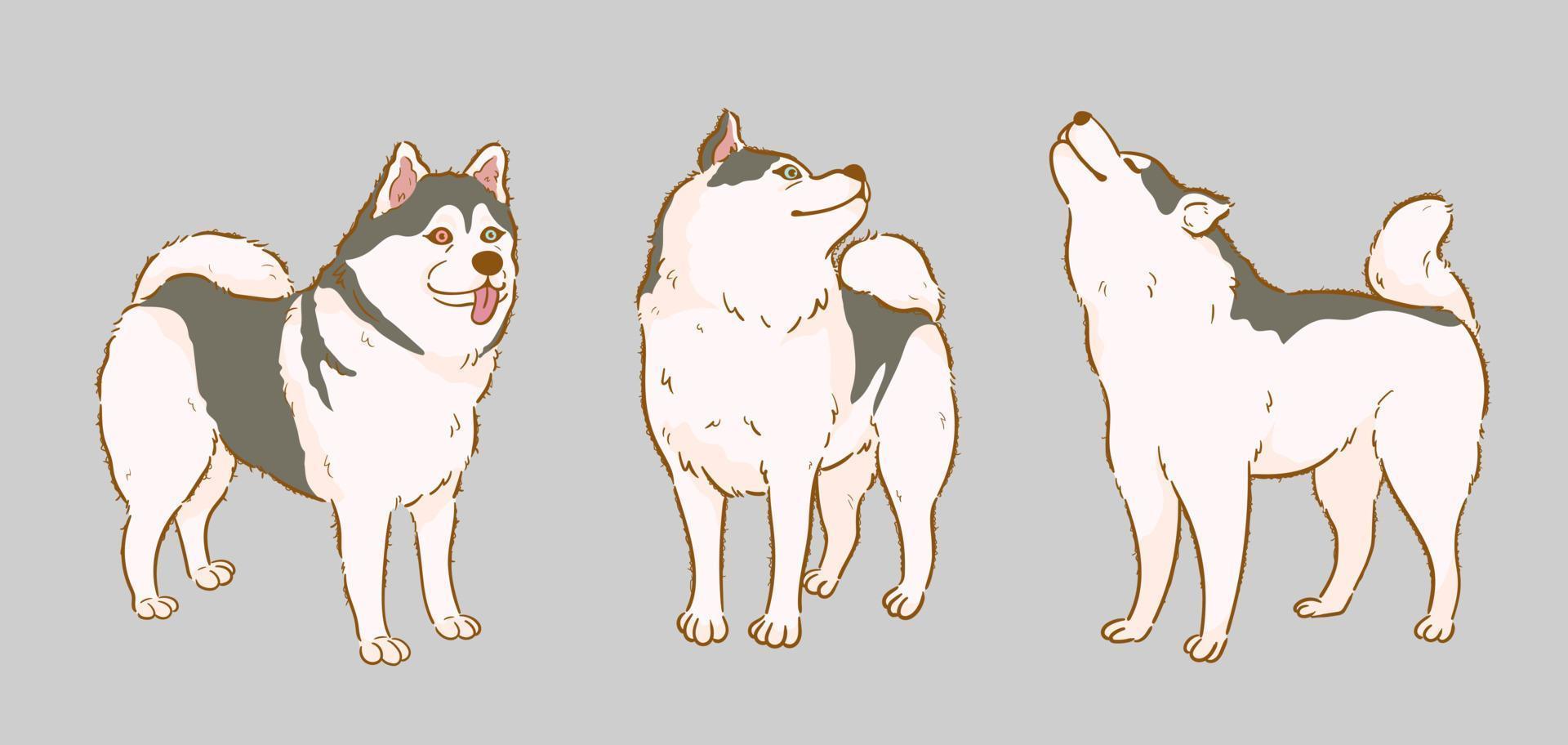 Cute Cartoon Siberian Husky dog set vector