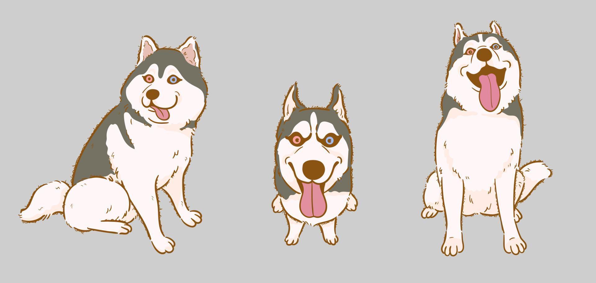 conjunto de pose sentada de perro husky siberiano de dibujos animados vector