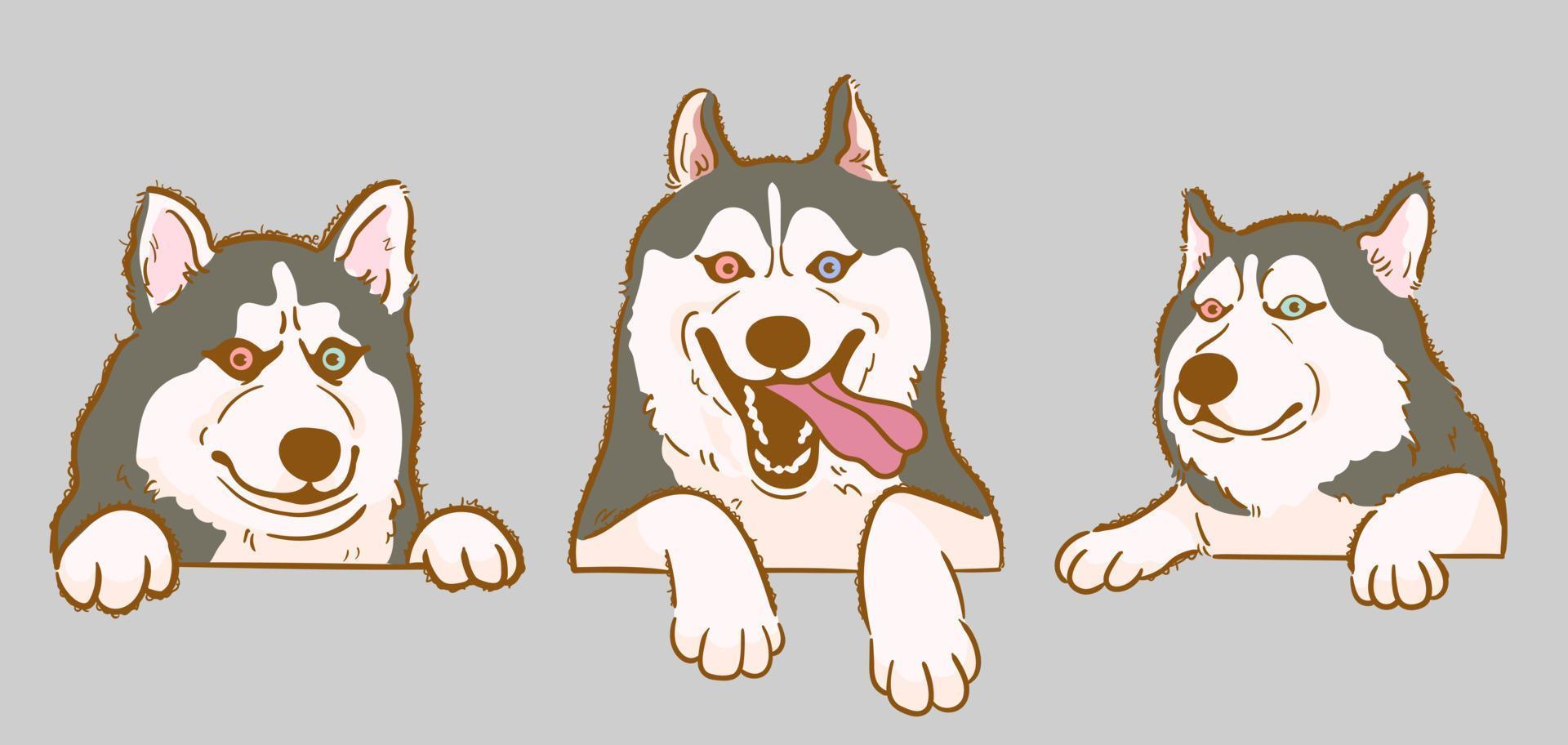 Cute Cartoon peeking Siberian Husky dog set vector