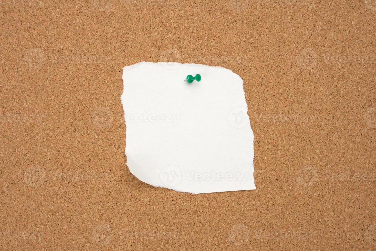 torn white blank white sheet of paper affixed with a plastic button on a brown cork board photo