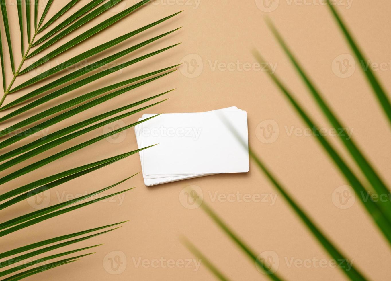 stack of rectangular white paper business cards and a leaf of a palm tree on a brown background. View from above photo