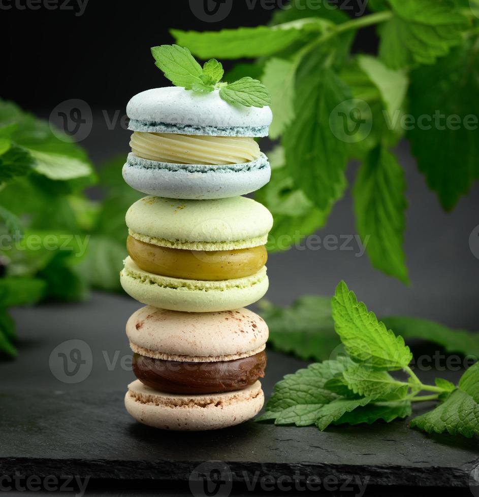 stack of multi-colored macarons on a black background, behind green sprigs of mint, photo