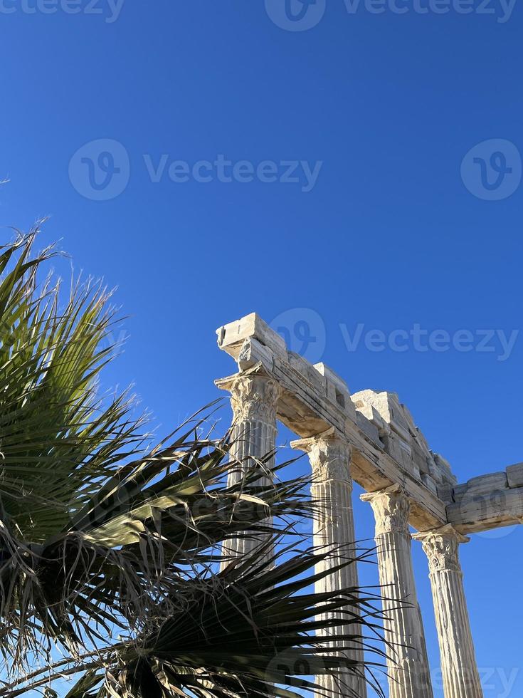 Columns and palm leaves photo