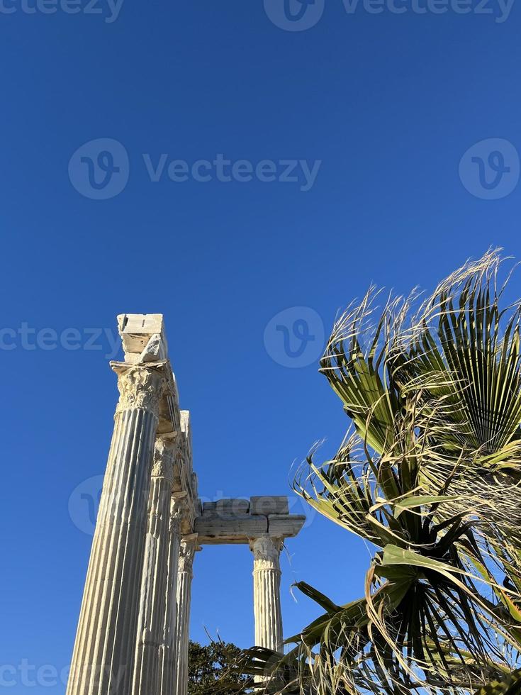 ancient greek columns and palm leaves photo